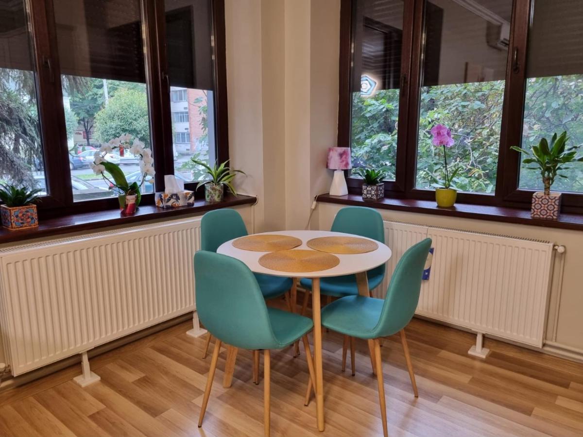 City Center Dream Apartment Temesvár Kültér fotó