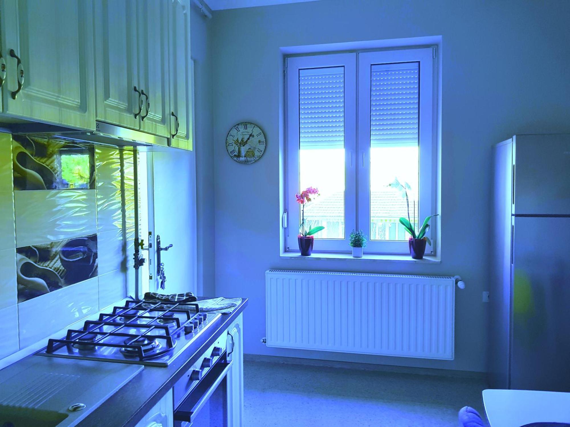 City Center Dream Apartment Temesvár Kültér fotó